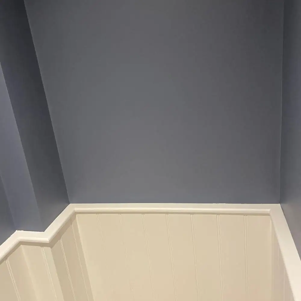 Navy wall with white panelling